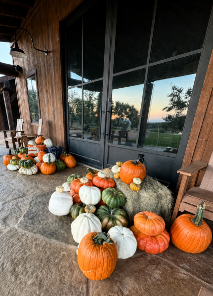 Celebrate Collection rustic porch arrangement of pumpkins and gourds