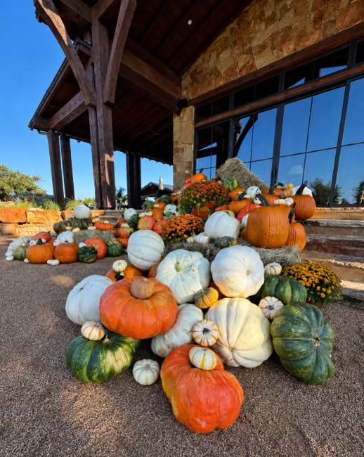 Feast Collection close-up of pumpkins, gourds, flowers, and hay at a timber-and-stone entrance