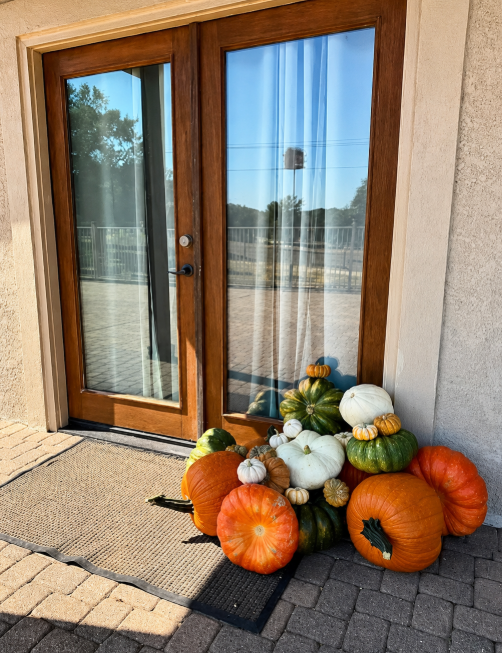 Welcome Collection pumpkins beside a wooden glass entry door