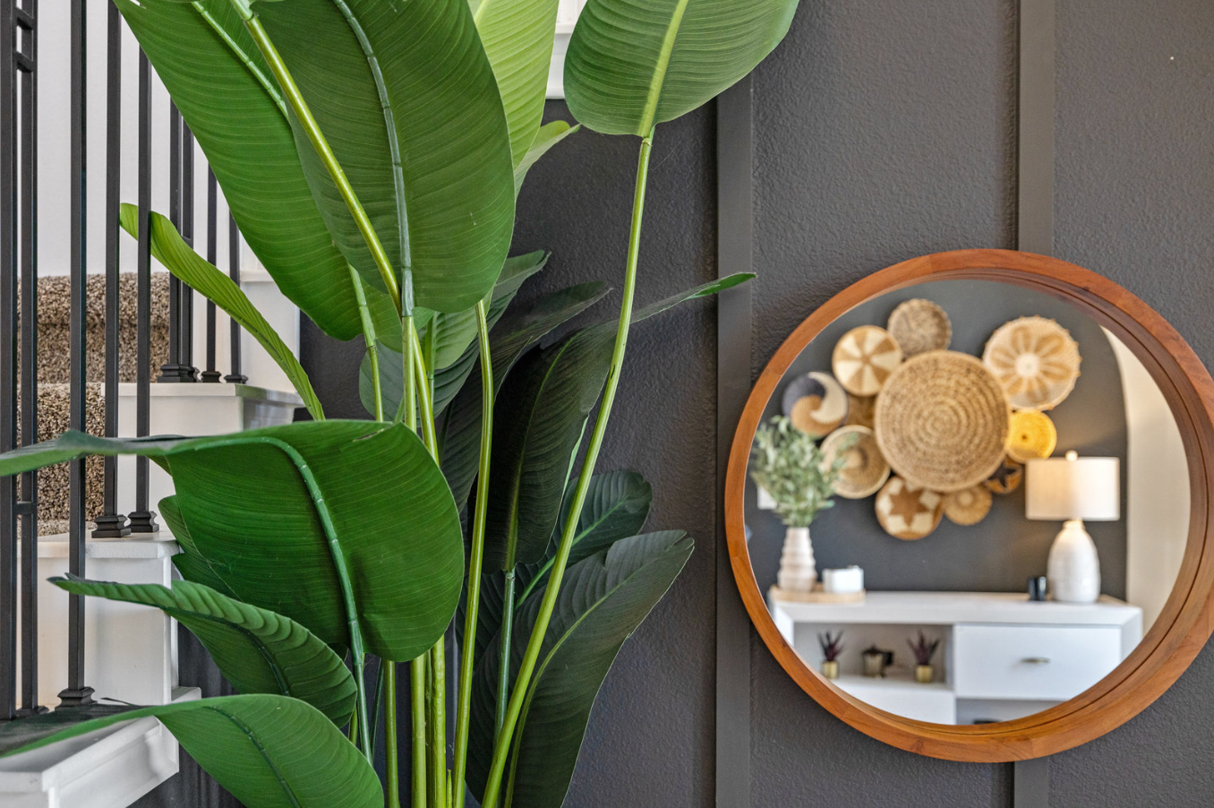 Diamante Dr. mirror and foliage detail